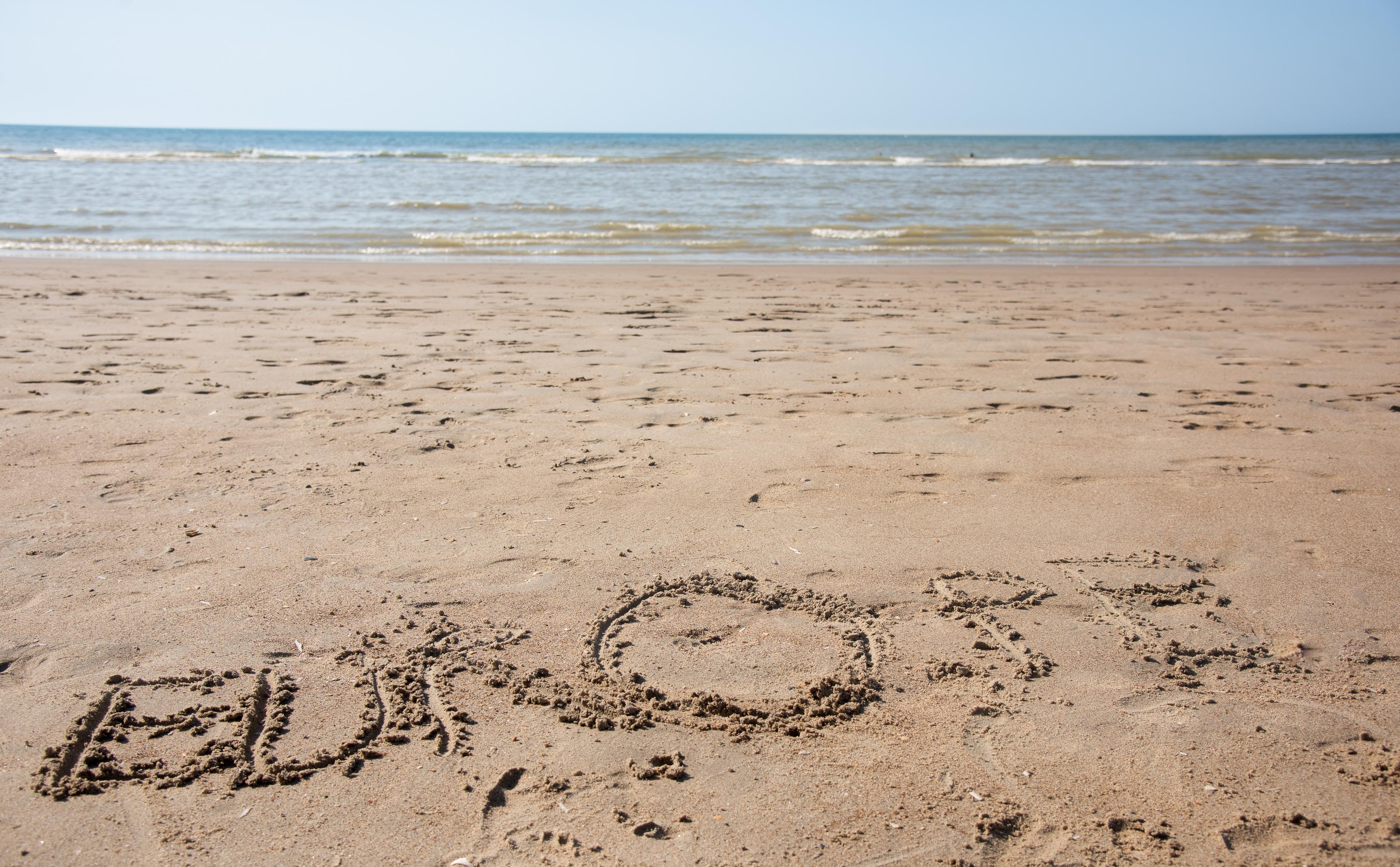 Descripción de la imagen