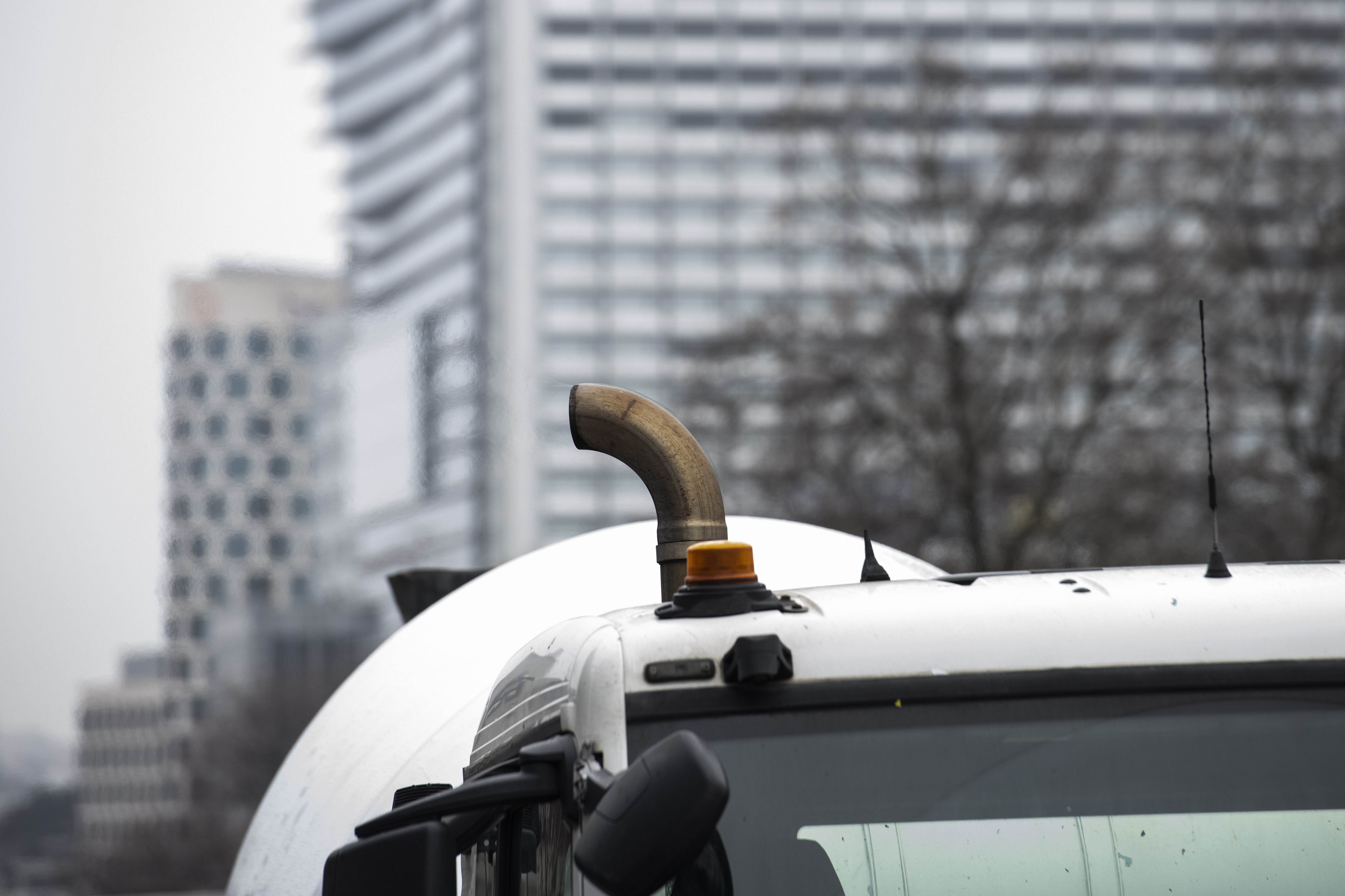 Descripción de la imagen